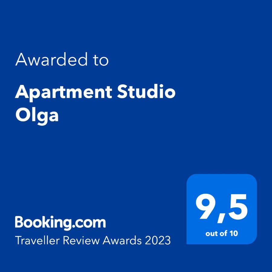 נובי ווינודולסקי Apartment Studio Olga מראה חיצוני תמונה